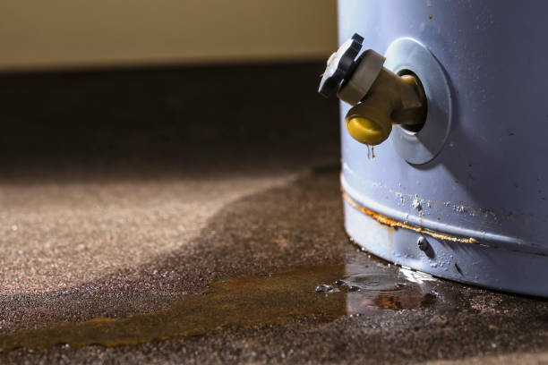 Best Basement water damage restoration  in Eatontown, NJ