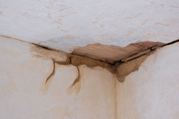 Best 24/7 water damage repair  in Eatontown, NJ