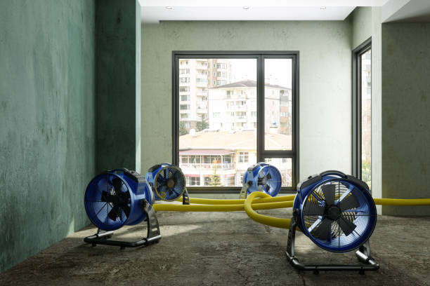 Best Local water damage restoration  in Eatontown, NJ