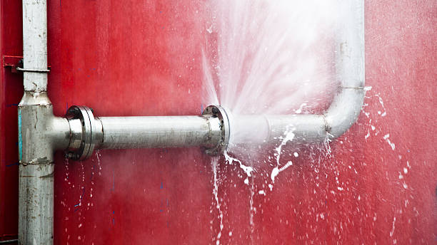 Best Mold removal after water damage  in Eatontown, NJ